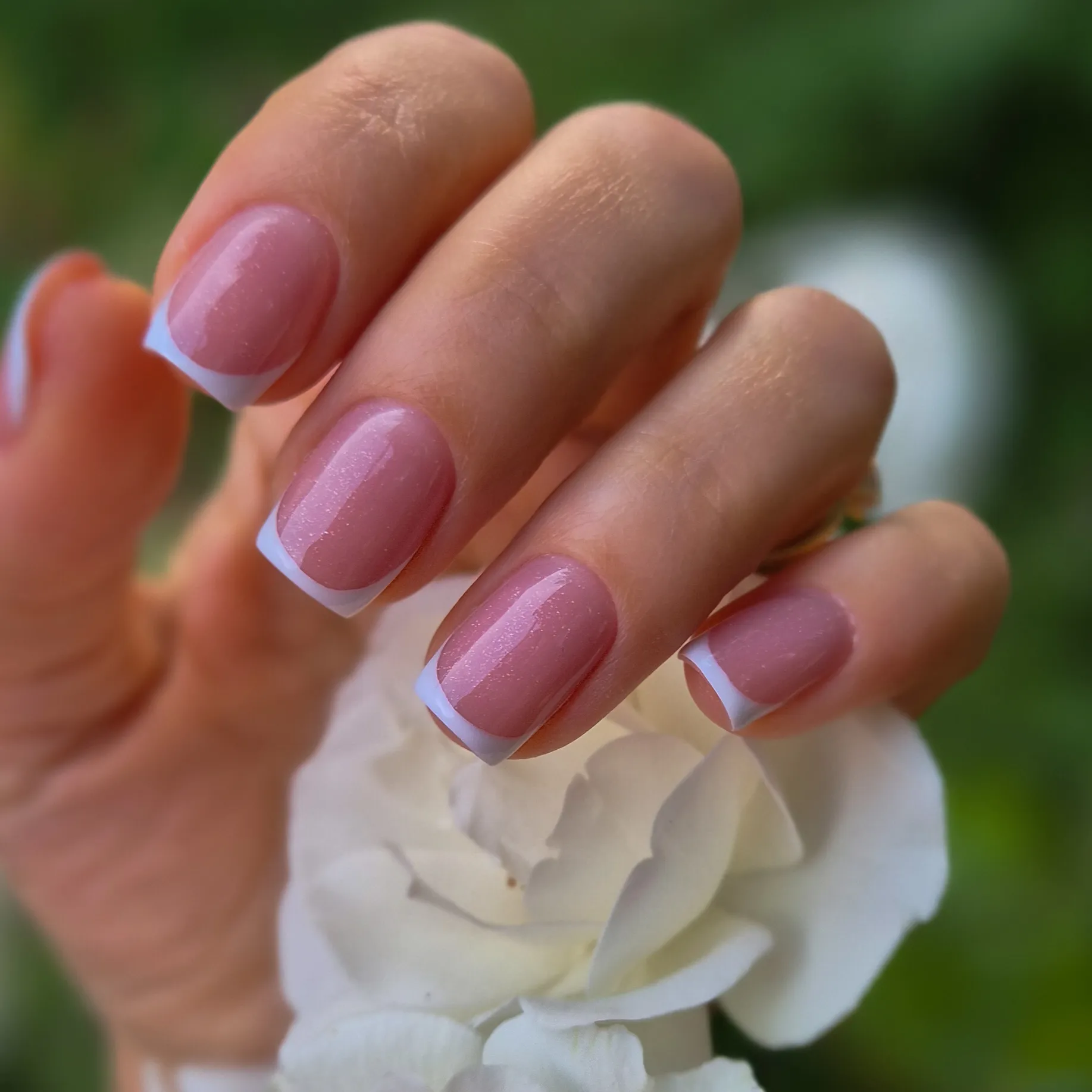 фото из портфолио