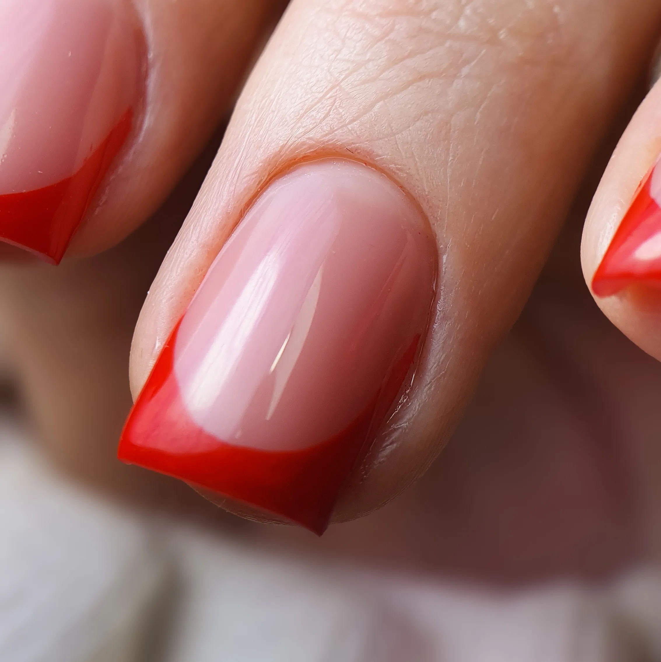 фото из портфолио